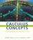 Cover of: Calculus Concepts