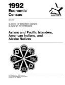 Cover of: Survey of Minority-Owned Business Enterprises: Asians & Pacific Islanders, American Indians, & Alaska Natives