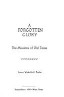 Cover of: A Forgotten Glory by James Burke