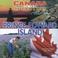 Cover of: Prince Edward Island (Canada in the 21st Century)