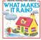 Cover of: What Makes It Rain (Starting Point Science Ser)
