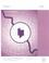 Cover of: County Business Patterns Illinois 1999 (County Business Patterns Illinois)