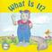 Cover of: What Is I-Phonics Read Set 1