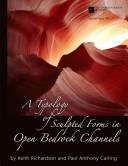 Cover of: Typology of Sculpted Forms in Open Bedrock Channels (Special Paper (Geological Society of America))