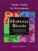 Cover of: The Human Brain - Study Guide by John Nolte