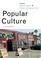 Cover of: Popular Culture