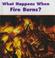 Cover of: What Happens When