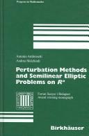 Cover of: Pertubation methods and semilinear elliptic problems on Rn