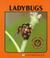 Cover of: Ladybugs