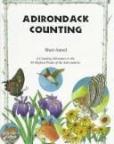 Cover of: Adirondack Counting Book