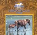 Cover of: Chincoteague Ponies (Great American Horses) by Victor Gentle, Janet Perry