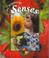 Cover of: The Science of Senses (Living Science)