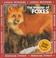 Cover of: The Wonder of Foxes (Animal Wonders)