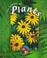 Cover of: The Science of Plants (Living Science)