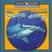 Cover of: What Sea Animals Eat/ Que Comen Los Animales Del Mar?