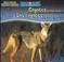 Cover of: Coyotes Are Night Animals/Los Coyotes Son Animales Nocturnos (Night Animals/ Animales Nocturnos)