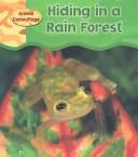 Cover of: Hiding in a Rain Forest (Animal Camouflage)