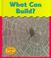 Cover of: What Can Build