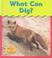 Cover of: What Can Dig (Whitehouse, Patricia, What Can?,)