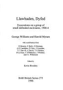 Llawhaden, Dyfed by George Williams, Harold Mytum, Kevin Blockley