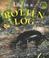 Cover of: Life in a Rotten Log (Microhabitats)