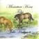 Cover of: Miniature Horse Tales