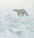 Cover of: Ice bear by Nicola Davies