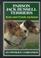 Cover of: Parson Jack Russell Terriers