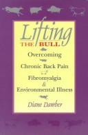 Cover of: Lifting the Bull: Overcoming Chronic Back Pain Fibromyalgia and Environmental Illness