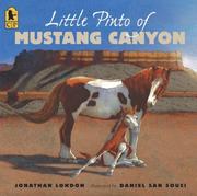Cover of: Little Pinto of Mustang Canyon by Jonathan London