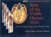 Cover of: Atlas of the visible human male by Victor M. Spitzer