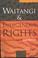 Cover of: Waitangi & Indigenous Rights