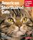 Cover of: American shorthair cats