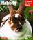 Cover of: Rabbits