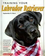 Cover of: Training Your Labrador Retriever (Training Your Dog)