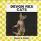 Cover of: Devon Rex Cat (Cats Set II)