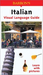 Cover of: Italian Visual Language Guide