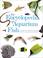 Cover of: Encyclopedia of Aquarium Fish