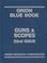 Cover of: Gun & Scopes (Orion Blue Book Gun)