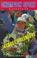 Cover of: Jacques Villeneuve (Champion Sport Biogragphies)