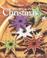 Cover of: Family Circle Big Book of Christmas