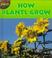 Cover of: How Plants Grow (Plants (Hfl).)