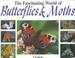 Cover of: The Fascinating World of Butterflies and Moths