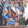 Cover of: The Apache (Native Americans)