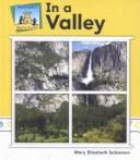 Cover of: In a Valley (What Do You See?)