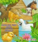 Cover of: Duckling Peep Swims With the Animals (Peek-a-Boo Books) | Gisela Fischer