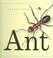 Cover of: Ant (Creepy Crawly World)