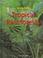 Cover of: Tropical Rain Forests (Snedden, Robert. Habitats.)