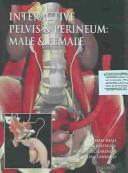 Interactive Pelvis and Perineum (Male and Female) by Primal