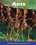 Cover of: Ants (Early connections)